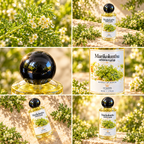 Marikolunthu (மரிக்கொழுந்து) Fragrance Perfume 50ml | Extrait de Parfum