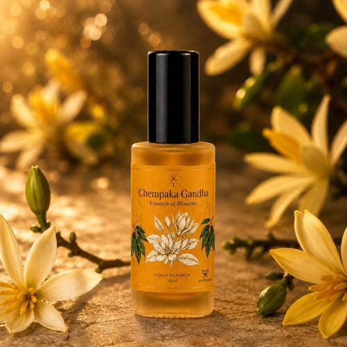 Chempaka Gandha (ചെമ്പക ഗന്ധ) Fragrance Perfume 20ml | Extrait de Parfume